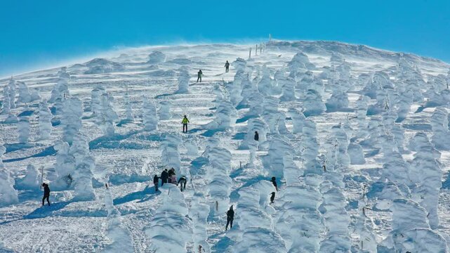 Hikers exploring frozen trees and ice formations