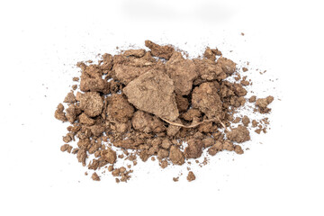 Manure Dry cow dung for trees and soil mixtures compost for planting isolated on white background.