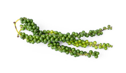 Bunches of fresh green pepper - peppercorns isolated on white background.