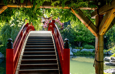 An old oval wooden bridge in a Japanese garden.