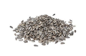 Sunflower seed pile for germination sprout isolated on white background.