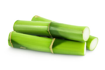 Green bamboo with leaves isolated on white background with full depth of field