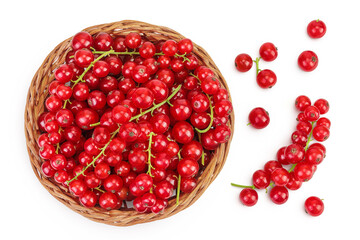 Red currant berries in a wicker basket isolated on white background. Top view. Flat lay