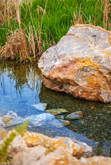 A shallow puddle. At the edge of the pond, grass is visible behind the rock in the water. Peaceful and serene view of nature.