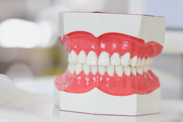Modern denture model in dental laboratory