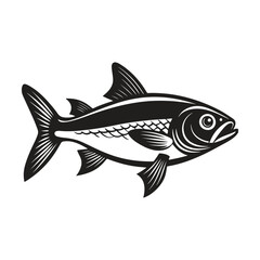 Hilsa Fish vector illustration, Hilsa silhouette