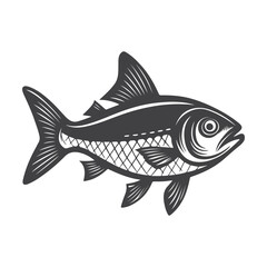 Hilsa Fish vector illustration, Hilsa silhouette