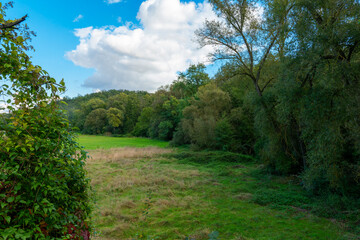 Fototapeta premium lush green field with a few trees in the background. The sky is blue with some clouds