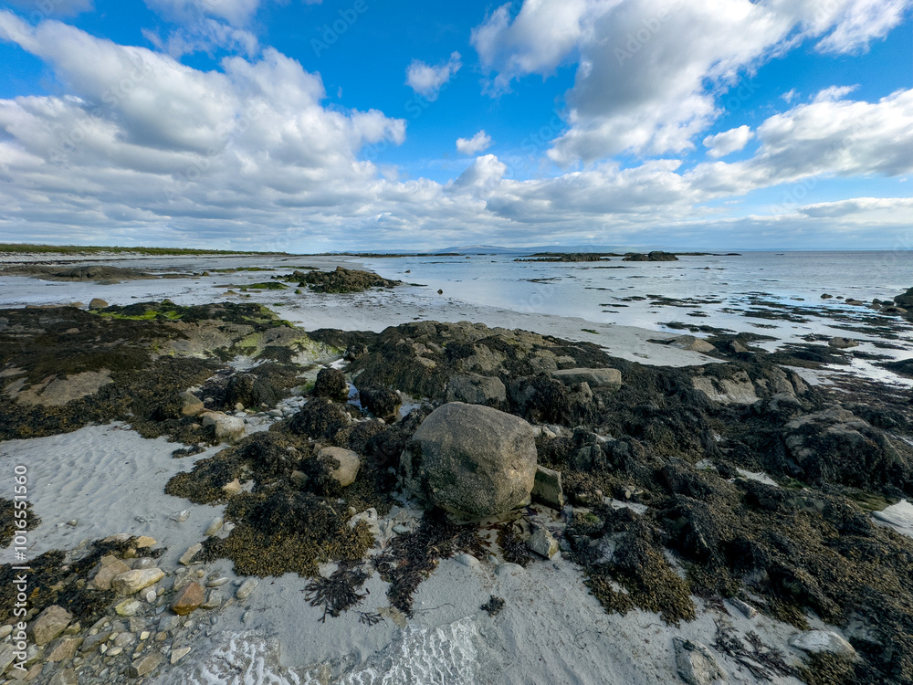 Wall mural rocky shore