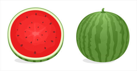 set of whole and sliced watermelon vector illustration, fresh summer fruit 