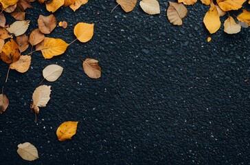 Fototapeta premium autumn leaves on asphalt