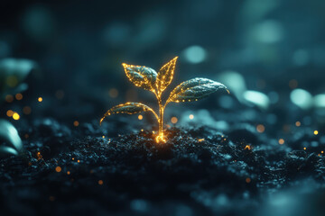 Sprouting Digital Growth