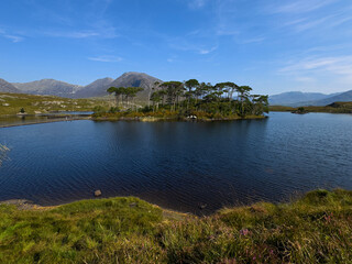 island in the lake