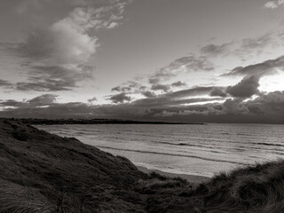 Black and White Seascabe