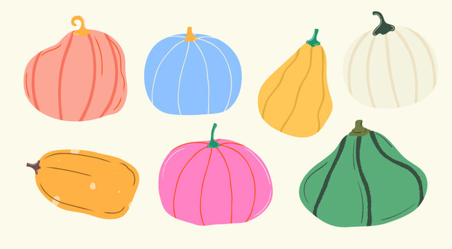 Colorful pumpkins and squashes for autumn