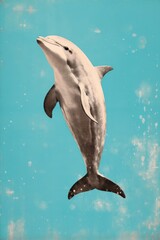 Obraz premium Dolphin illustration on blue background