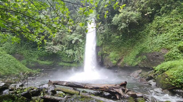 Curug Sawer is included in the Situ Gunung natural tourist area, which is in Kadudampit District, Sukabumi Regency. In ancient times it was known as a haunted place, scary.