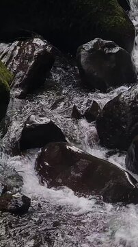 The strong flow of river water originates from Curug Saweri in the Situ Gunung natural tourist area, which is in Kadudampit District, Sukabumi Regency. In ancient times Sawer Waterfall was known as a 