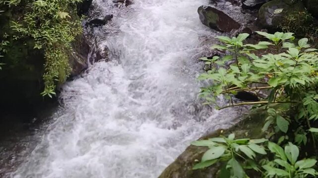 The strong flow of river water originates from Curug Saweri in the Situ Gunung natural tourist area, which is in Kadudampit District, Sukabumi Regency. In ancient times Sawer Waterfall was known as a 