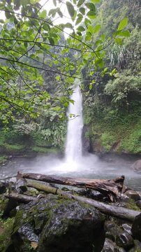 Curug Sawer is included in the Situ Gunung natural tourist area, which is in Kadudampit District, Sukabumi Regency. In ancient times it was known as a haunted place, scary.