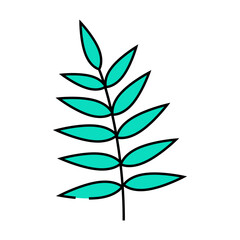 chamaedorea tropical leaf line icon vector. chamaedorea tropical leaf sign. isolated symbol illustration