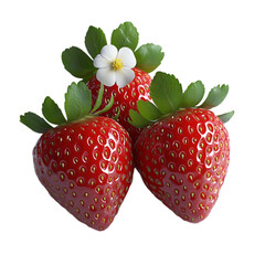 Fresh Two Strawberry Or Red Berry Isolated With Clipping Path Or Make Selection Healthy Food And Fruit 
