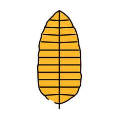 banana tropical leaf line icon vector. banana tropical leaf sign. isolated symbol illustration