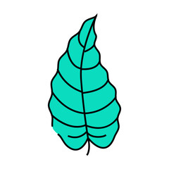 philodendron tropical leaf line icon vector. philodendron tropical leaf sign. isolated symbol illustration