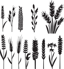 Set of minimalistic flat design wheat silhouettes. Hand drawn vector illustration	