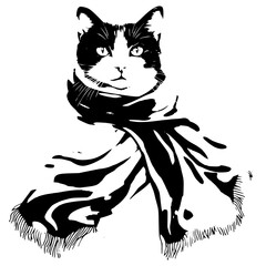 black and white cat