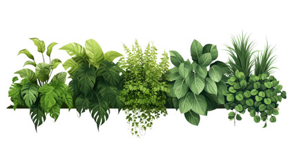 A row of green plants with a white background
