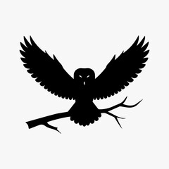 Fototapeta premium Midnight Sentinel: The Bold Bald Owl