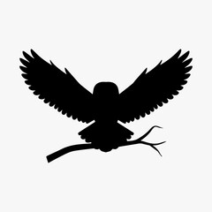 Obraz premium Midnight Sentinel: The Bold Bald Owl