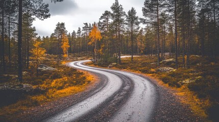 Fototapeta premium Serene Winding Road Through Autumn Forest Landscape