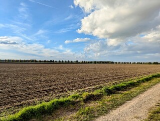 Wolken über einem Feldweg 