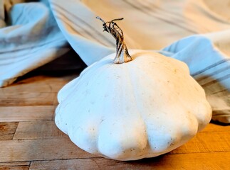 Weißer Patisson Kürbis 