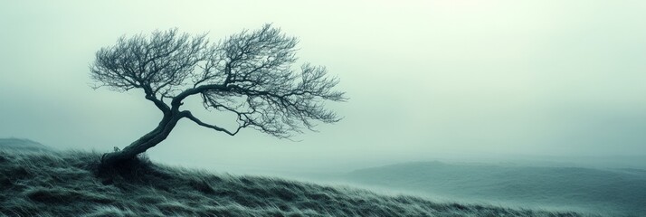 Solitary Tree on a Hilltop, windswept branches reaching out, horizon gently blurring into the distance, evoking solitude and resilience