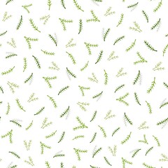 Christmas green branches on a white background