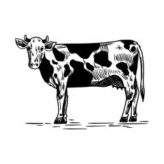 Sketch of a cow. Animal husbandry Silhouette of a cow. Vector illustration