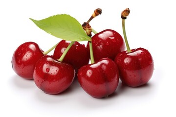 Cherries produce ketchup fruit.