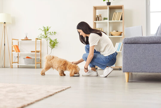 Young kind woman feeding adopted dog, happy girl in care of small puppy at home to express care, feel love, enjoy time together having fun with small pedigreed dog in new modern living room