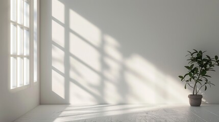 Empty room with sunlight streaming through windows casting shadows, with a potted plant in the corner. Interior space with natural lighting.