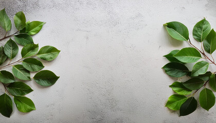 green leaves and wildflowers at the edge of the frame on a white surface. Flat. copy space