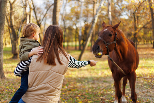 Mother and child feeding horse in autumn park