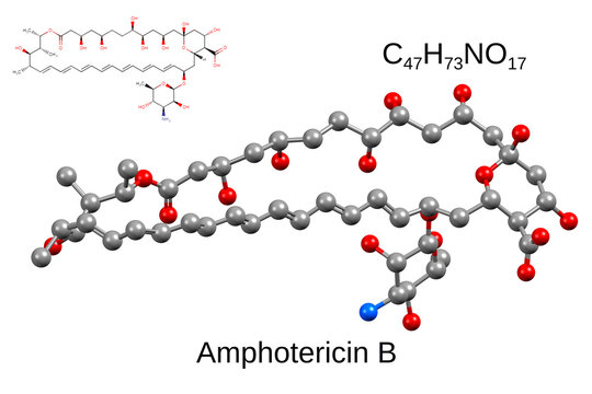 Chemical formula, structural formula and 3D ball-and-stick model of antifungal drug amphotericin B