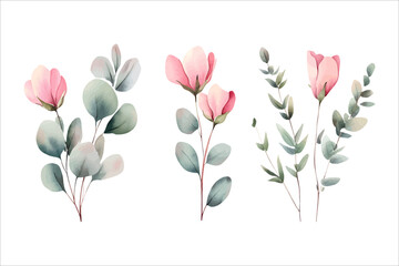 Set of delicate watercolor floral design featuring soft pink blossoms