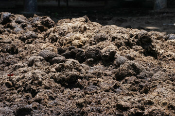 A lot of rhino feces