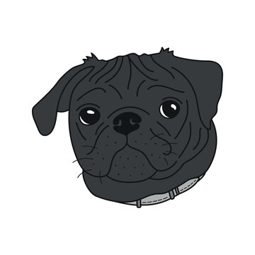 recommend clip art: Cute black pug dog vector illustration. Hand drawn adorable and funny pug puppy.
