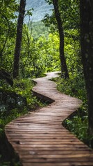 Fototapeta premium A winding wooden path through a lush green forest, inviting exploration and tranquility in a serene natural setting.