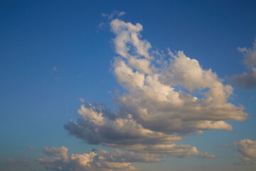 A series of cumulus clouds in the lower sky on a daytime sky